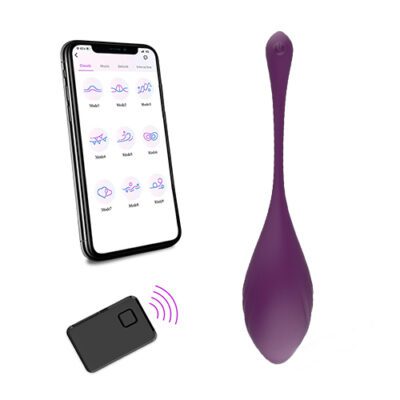 App and Remote Control Egg